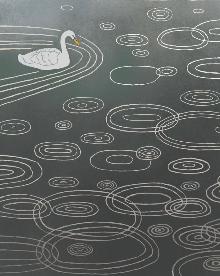 Tjitske's Raindrops artwork: a swan on a dark lake ringed with raindrop ripples